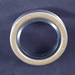 171255TB Double Lip Grease Seal